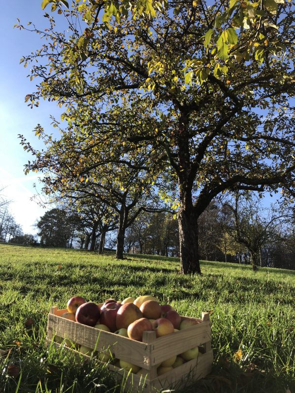 Foto 14.11.20, 14 08 38